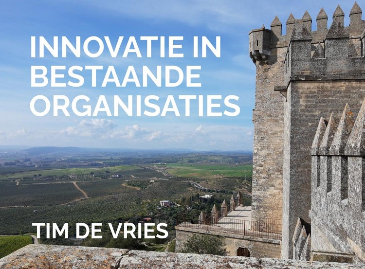 Innovatie in bestaande organisaties