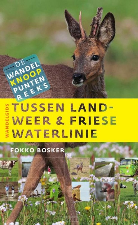 Tussen landweer&Friese waterlinie