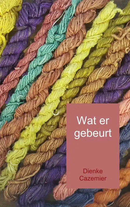 Wat er gebeurt