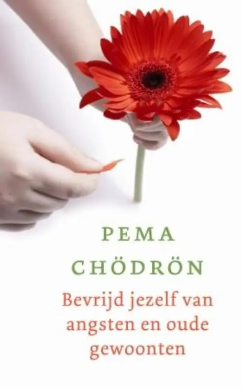 Bevrijd jezelf van angsten en oude gewoo