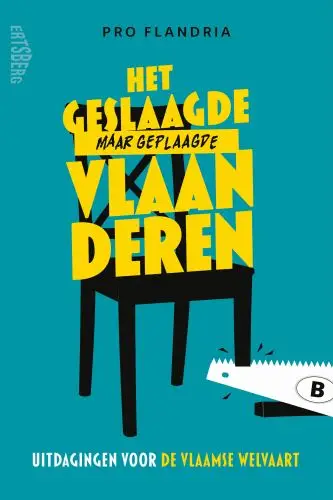 Het geslaagde maar geplaagde Vlaanderen