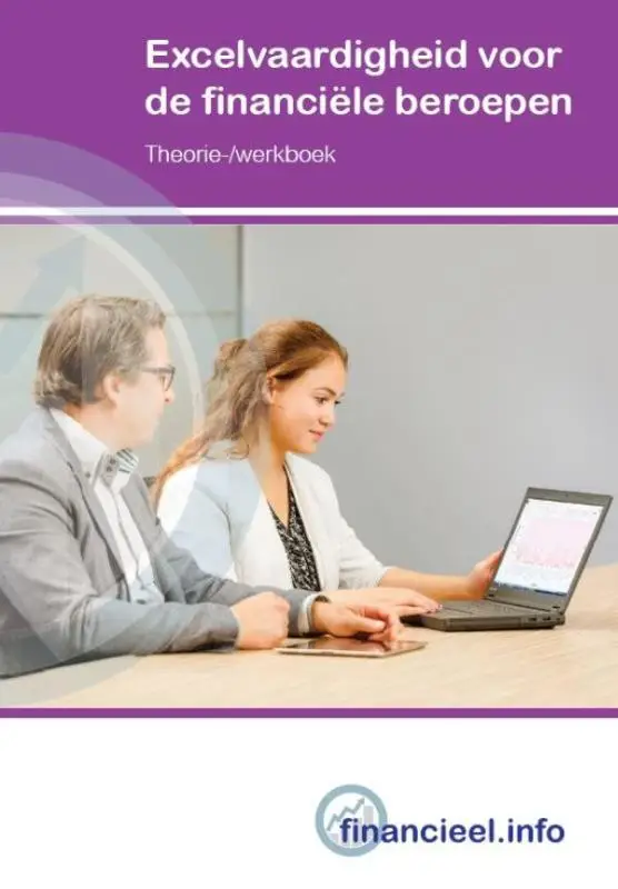 Excelvaardigheid voor de financiële beroepen / Theorie-werkboek