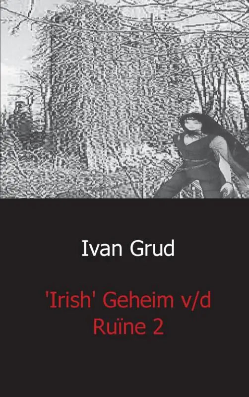 Irish het geheim v/d ruine / 2