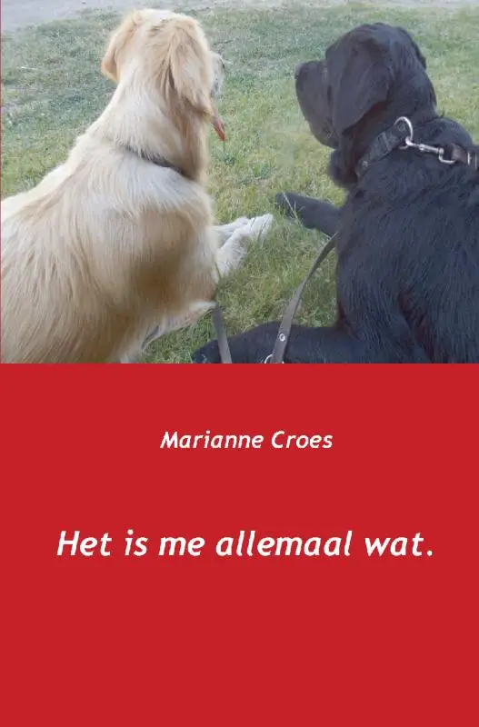 Het is me allemaal wat