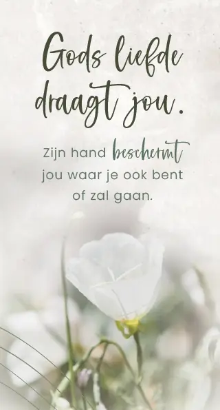 Magneetboekenlegger Gods liefde