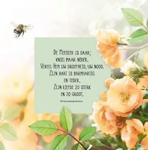 Bemoediging