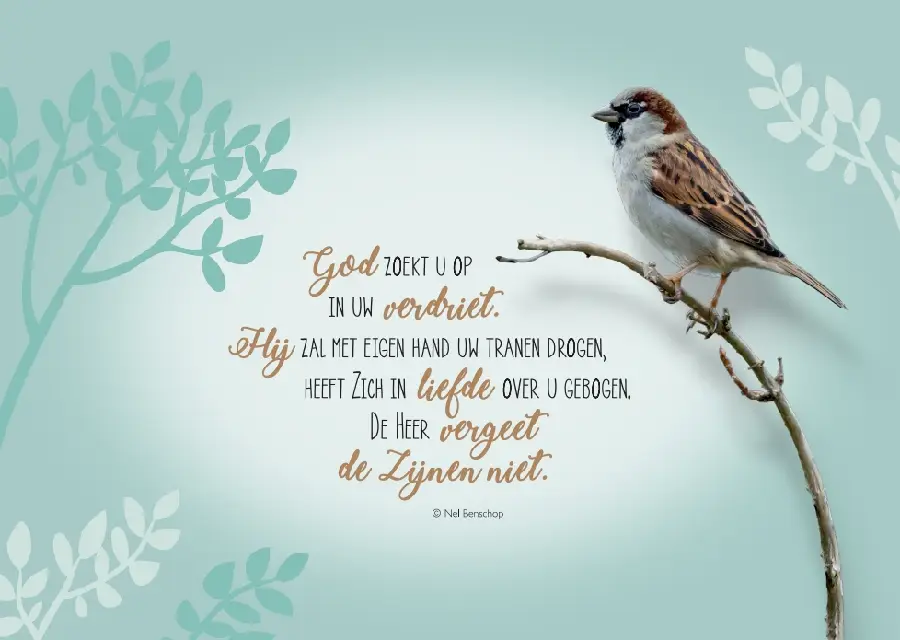 Bemoediging