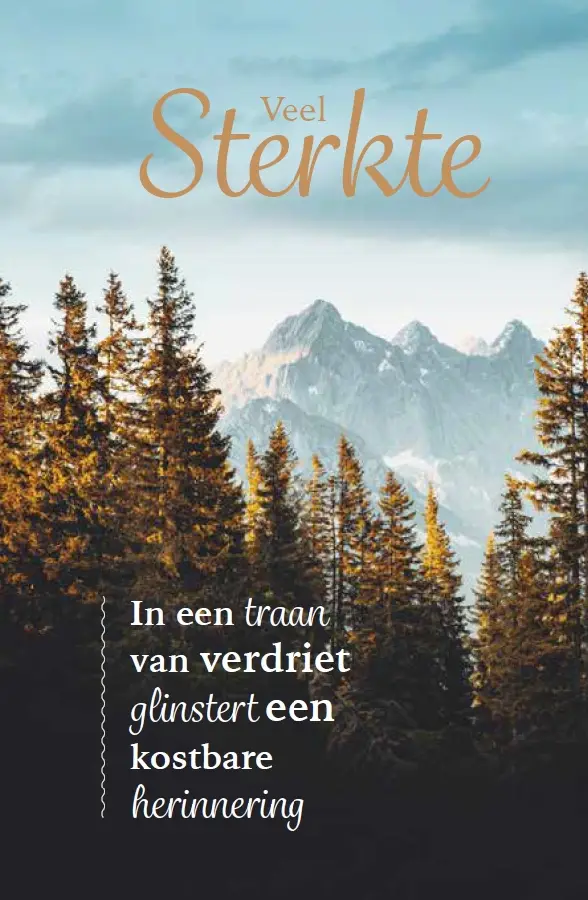 Deelneming broer