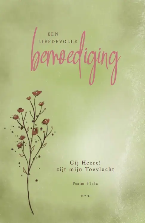 Deelneming m/t