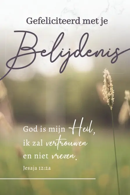 Gefeliciteerd met je belijdenis m/t