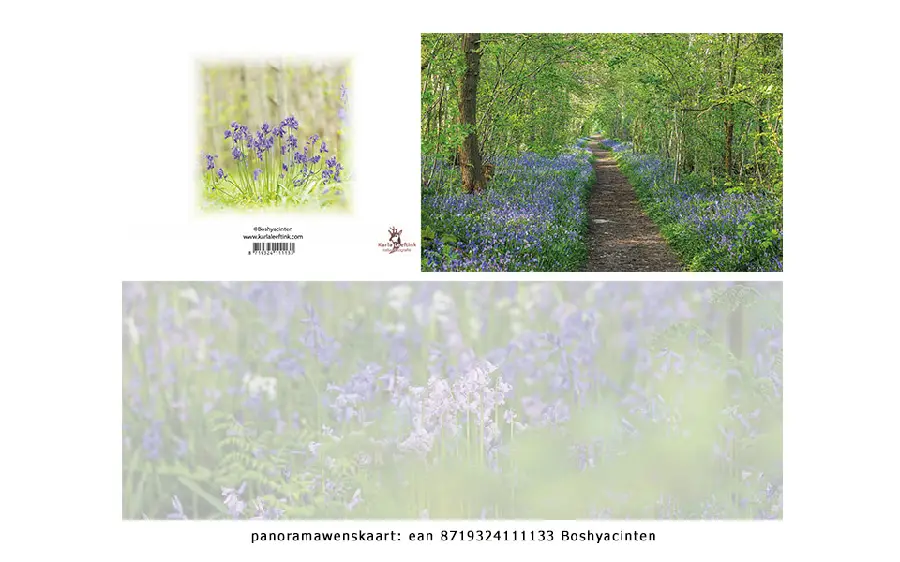 Panoramawenskaart sterkte mt lelietje