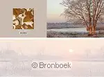 Panoramawenskaart winterlicht en ijsstru