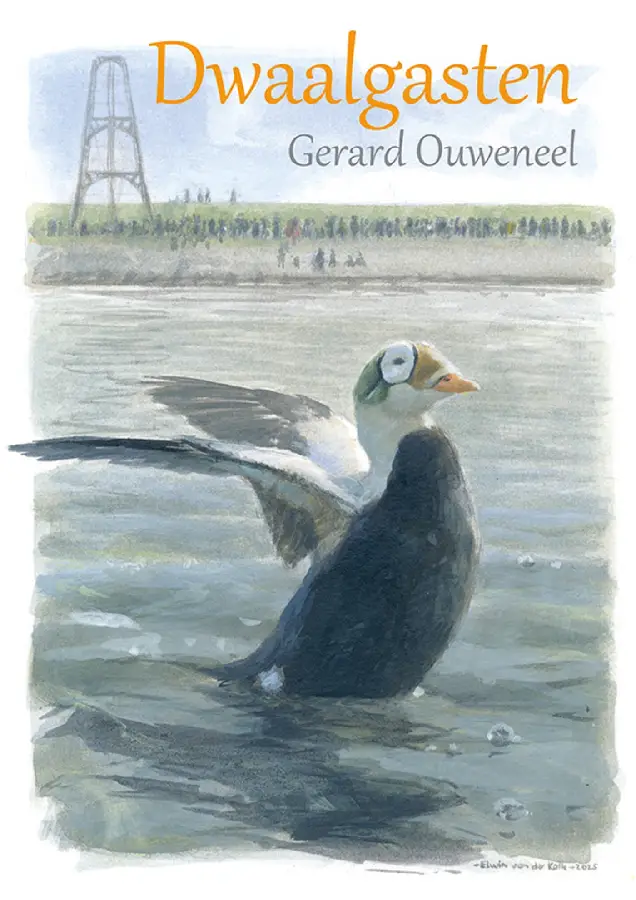 Dwaalgasten