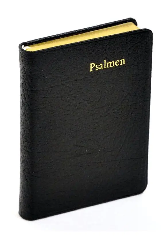 PSALMBOEK MET FORMULIEREN - LEER