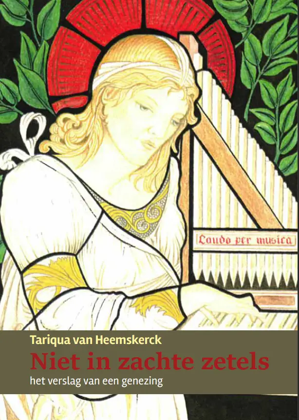 Niet in zachte zetels