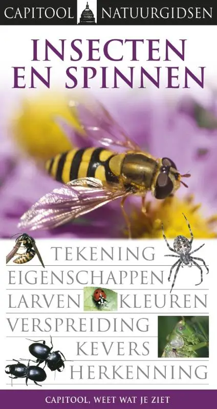INSECTEN EN SPINNEN
