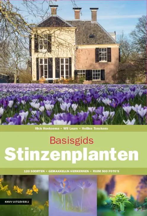 Basisgids stinzenplanten