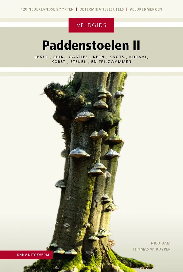Veldgids paddenstoelen II