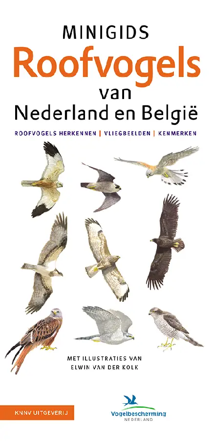 Set Minigidsen Roofvogels van Nederland en Belgie