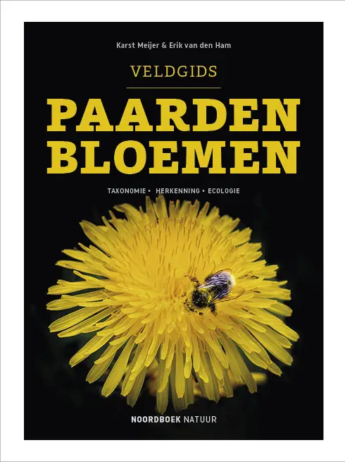 Veldgids Paardenbloemen