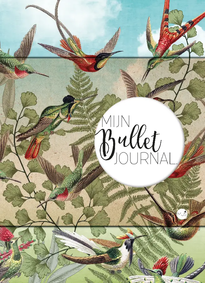 Mijn Bullet Journal / Kolibrie