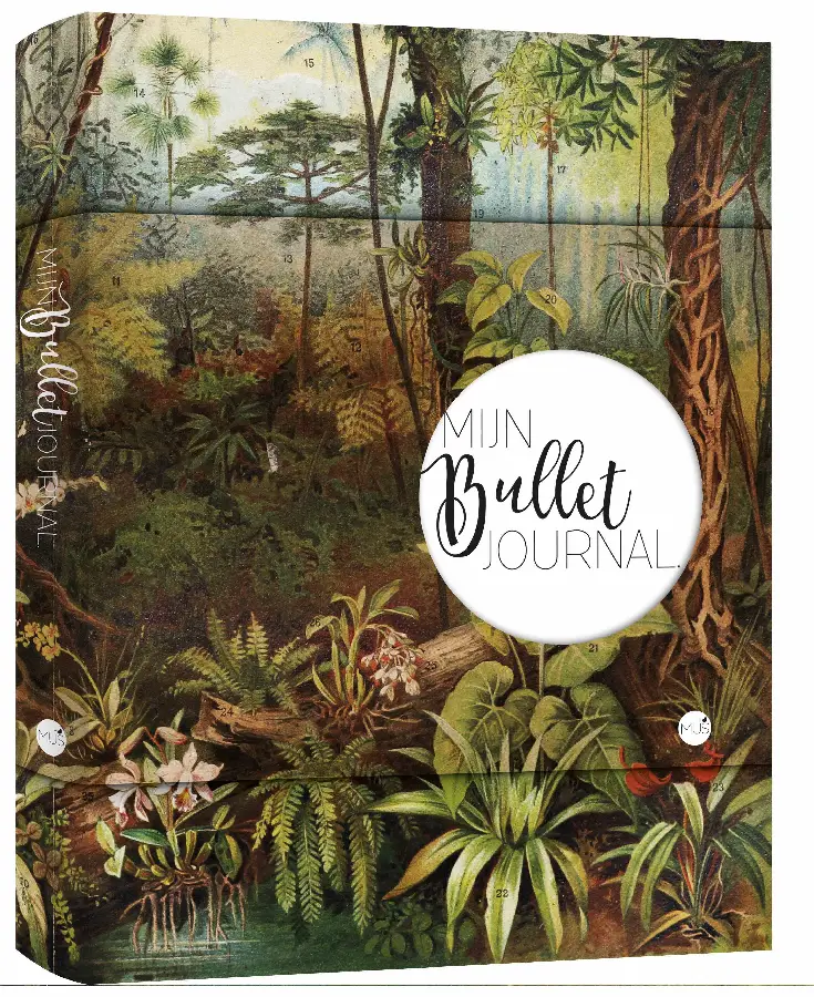 Mijn Bullet Journal / Regenwoud