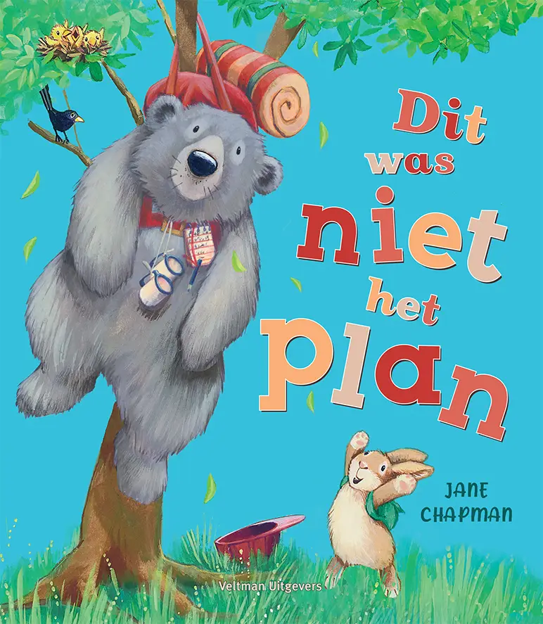 Dit was niet het plan