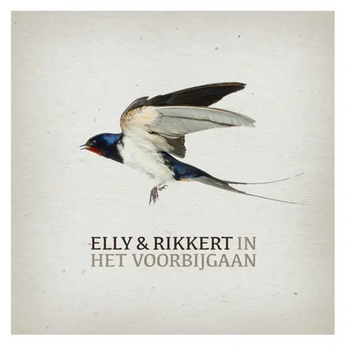 IN HET VOORBIJGAAN