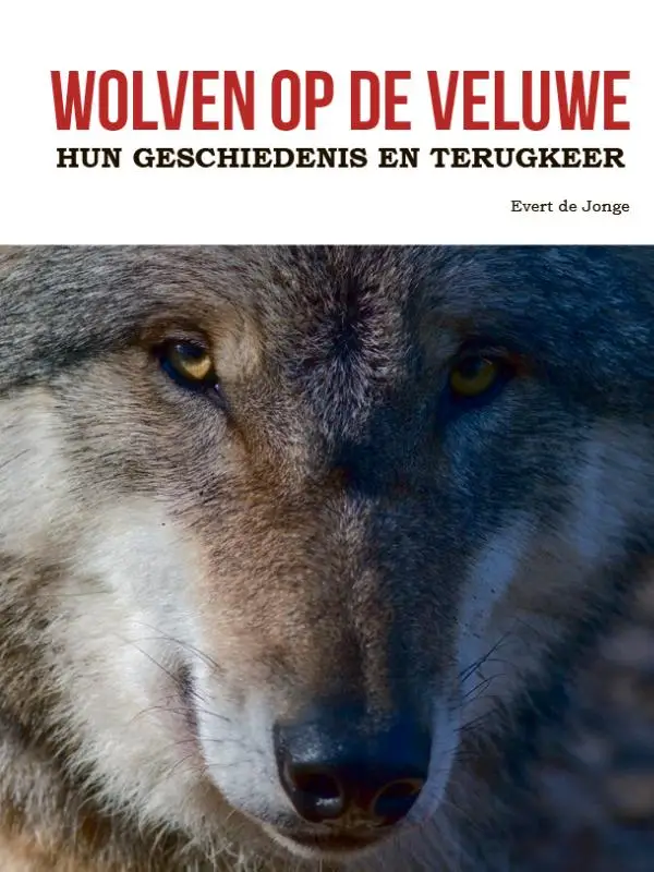 Wolven op de Veluwe