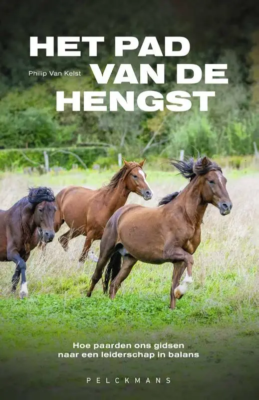 Het pad van de hengst