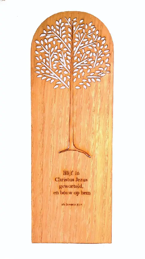 Boom - Blijf in Christus geworteld