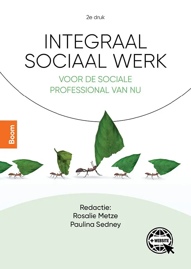 Integraal sociaal werk