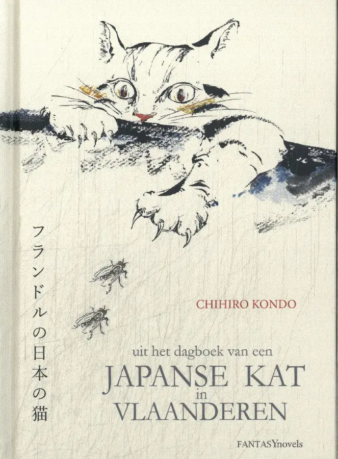 Japanse kat in Vlaanderen